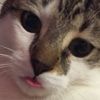kittycat1026
